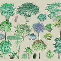 Diverse Green Trees And Shrubs Collection For Landscape Design 3d model