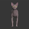 Hairless Pink Sphynx Cat with Yellow Eyes Large Ears Standing on Black Background with Reflection