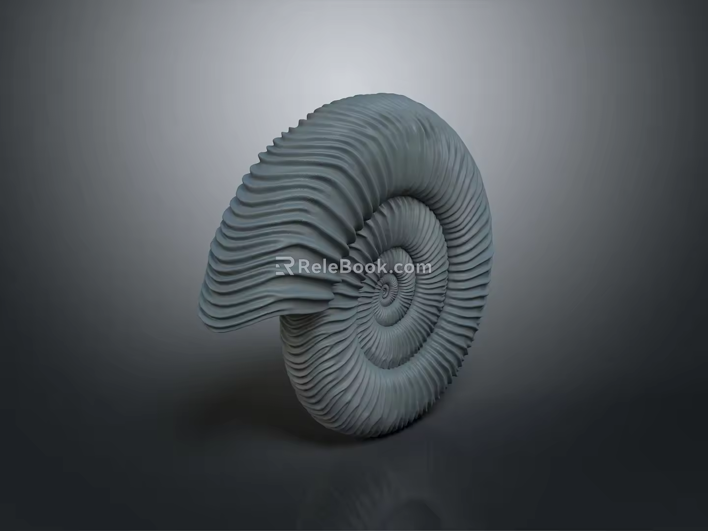 Chi chrysanthemum stone ancient fossil stone chrysanthemum fossil items 3d model