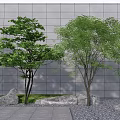 Lush Green Trees with Stones Against Gray Wall Outdoor Area