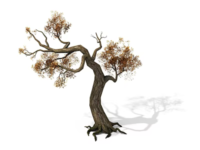 Garden Shrub With Twisted Branches And Rust Colored Foliage 3d model