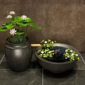 Courtyard Garden Design With Ceramic Pot Lotus Flowers Lily Pads And Goldfish Basin