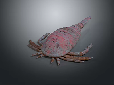 Fish Freshwater Fish Sea Fish Animal Game Animal Cartoon Animal Realistic Animal 3d model