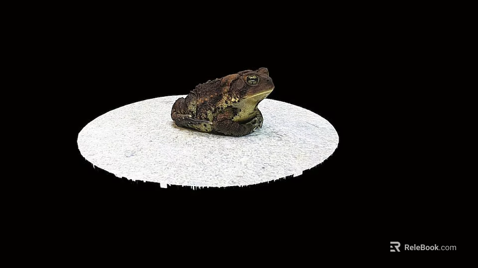 Game Movie Toad Character Sitting On White Circular Platform With Black Background 3d model 