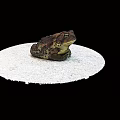 Game Movie Toad Character Sitting On White Circular Platform With Black Background