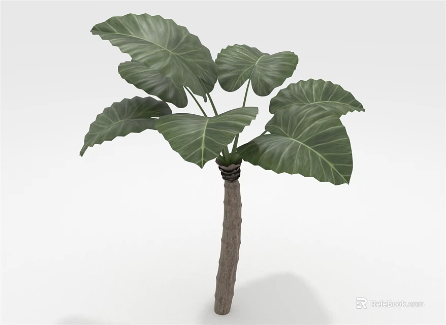 Tropical Indoor Plant with Large Green Leaves and Thick Wooden Stem for Home Decoration 3d model 
