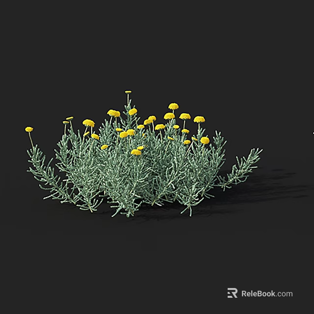 Lush Green Bush Featuring Yellow Flowers And Dense Green Foliage 3d model 