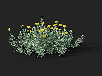 Lush Green Bush Featuring Yellow Flowers And Dense Green Foliage 3d model