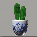 White Vase With Blue Floral Pattern Containing Green Cactus Plants