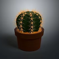 Small Green Round Cactus With Yellow Spines In Brown Ceramic Pot