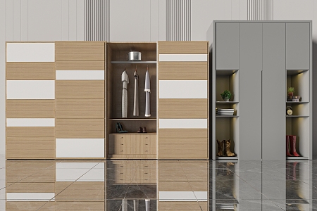 Modern wardrobe 3d model