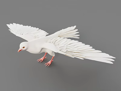 White Pigeon Flying With Spread Wings And Red Legs In Flight Pose 3d model