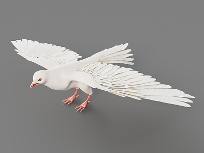 Peace pigeon carrier pigeon realistic animal high precision animal birds pigeon 3d model