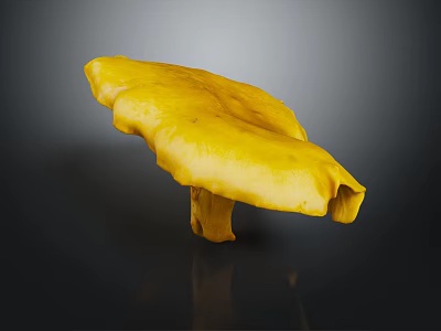 Bright Yellow Fresh Vegetable Mushroom with Smooth Surface and Dark Background Reflection 3d model