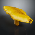 Bright Yellow Fresh Vegetable Mushroom with Smooth Surface and Dark Background Reflection