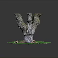 Natural Wooden Stump With Rough Texture On Green Grass And Mushrooms