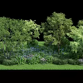 Lush Green Garden Landscape With Various Trees Grass And Colorful Flowers