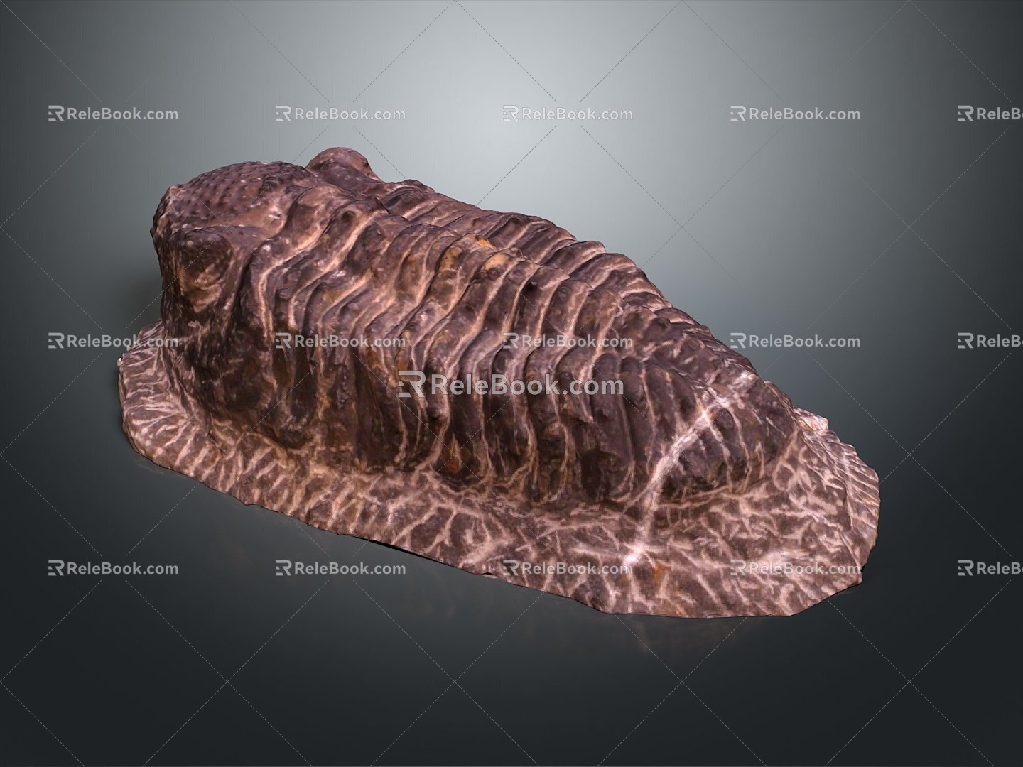 Trilobes, ancient creatures, ancient creatures, realistic 3d model