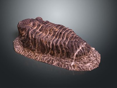 Trilobes, ancient creatures, ancient creatures, realistic 3d model