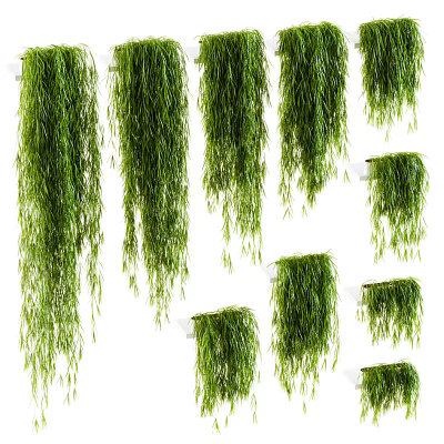 Lush Green Hanging Potted Plants With Trailing Foliage For Indoor Decor 3d model