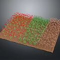 Three Plant Sections Featuring Red Flowers Green Leaves Brown Stems on Brown Soil Dark Background
