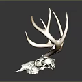 Modern Skull Animal Head Bone Horn Deer Head Bone Fossils 3d model