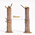 Tree Trunks Cut Down With Broken Branches And Soil Base On White Background 3d model