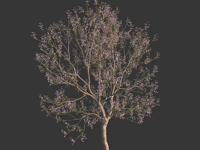 Elegant Purple Flowering Arbor With Lush Branches And Brown Trunk 3d model