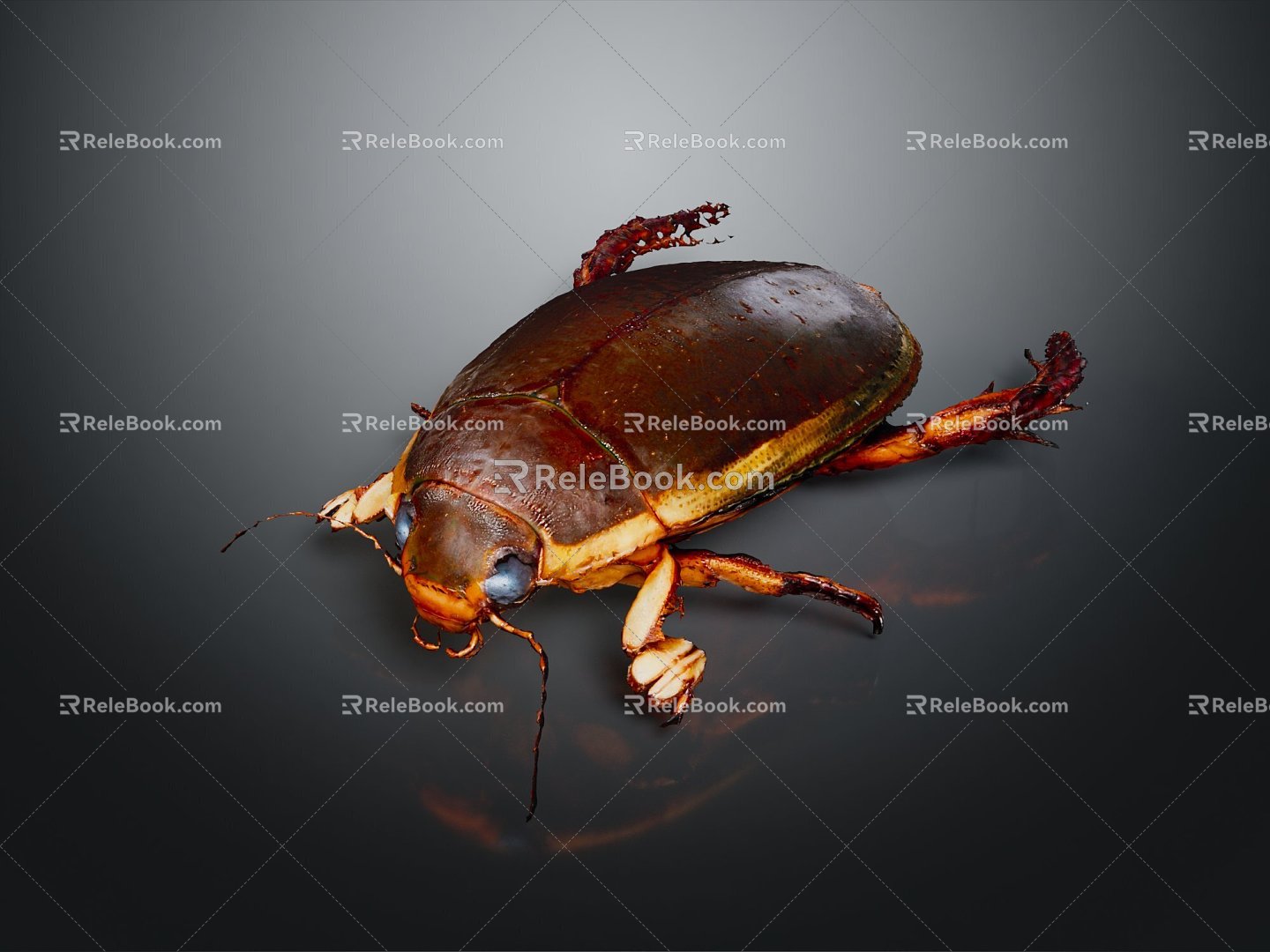 Modern dragon lice diving beetle beetle beetle beetle 3d model