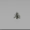 Rustic Wood and Stone Tree Trunk with Outstretched Branches and Green Moss Base 3d model