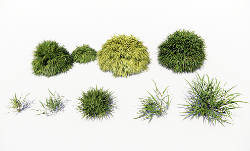 Modern shrub grass golden know grass 3d model