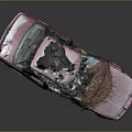 Abandoned Red Car With Open Doors Broken Windows Weeds And Branches Inside