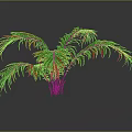 Green Palm Plant with Long Green Leaves on Gray Background and Smooth Surface with Shadow