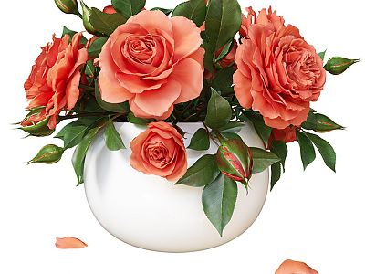 Modern Potted Rose Bouquet 3d model