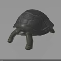 Realistic Gray Turtle Crawling With Detailed Textured Shell On Dark Background 3d model