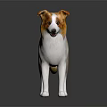 Brown Black and White Dog Figurine Standing on Dark Background with Reflection