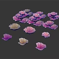 Colorful Flowers Scattered On Black Background With Pink Yellow And Other Hues