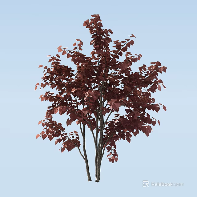 Arbor with Lush Dark Purple Leaves and Black Trunks Against Light Blue Sky 3d model 