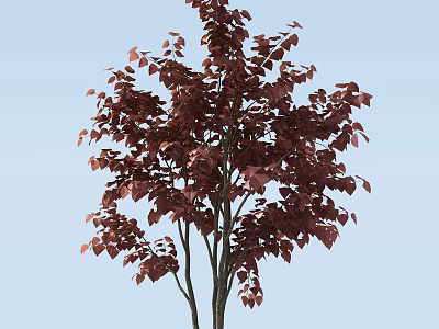 Arbor with Lush Dark Purple Leaves and Black Trunks Against Light Blue Sky 3d model