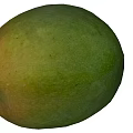 Modern Mango 3d model