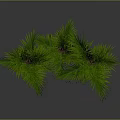 Green Potted Palm Plants in Orange Planters with Different Designs Against Dark Backdrop