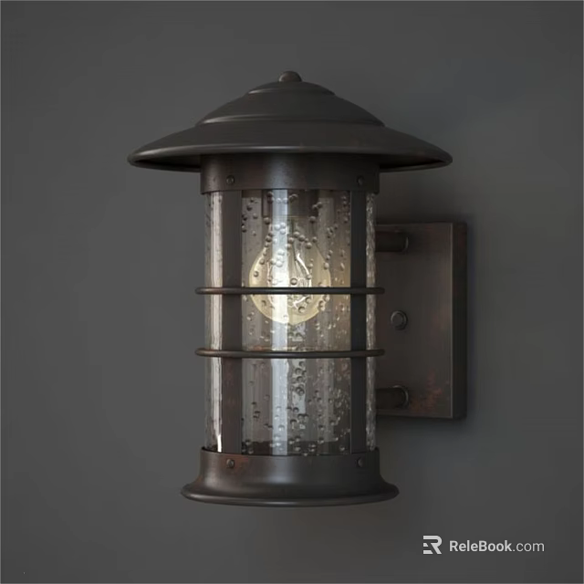 Rustic Metal Wall Sconce With Clear Glass Shade And Decorative Frame 3d model 