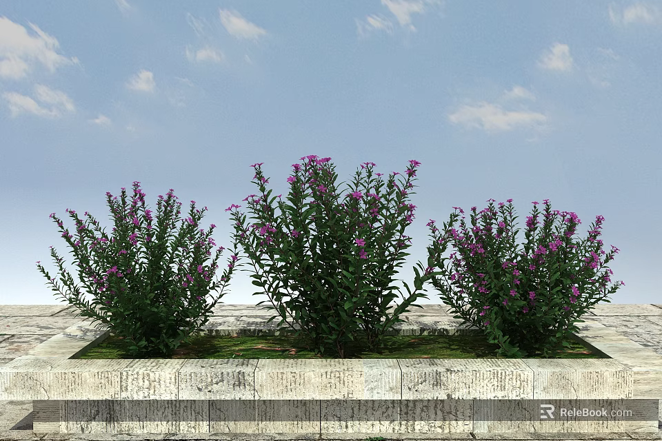 Three Green Plants With Purple Flowers In Stone Planter Under Blue Sky And Clouds 3d model 