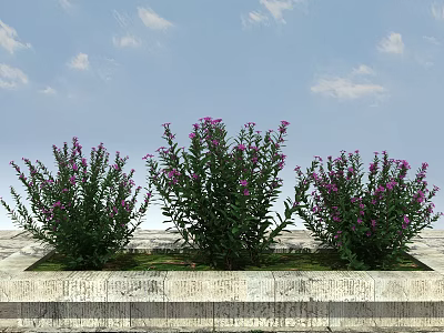 Three Green Plants With Purple Flowers In Stone Planter Under Blue Sky And Clouds 3d model