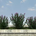 Three Green Plants With Purple Flowers In Stone Planter Under Blue Sky And Clouds