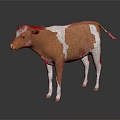 Brown and White Cow Standing on Dark Background with Reflection 3d model