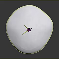 Vibrant Plant With Purple Petals Red Stamens Green Stems On White Rounded Base Dark Background