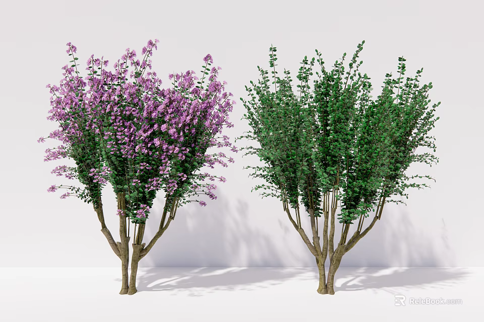 Vibrant Purple Flowering Tree And Lush Green Leaf Tree With Healthy Branches 3d model 