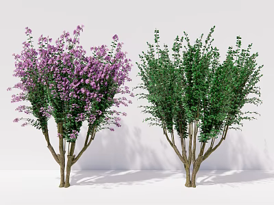 Vibrant Purple Flowering Tree And Lush Green Leaf Tree With Healthy Branches 3d model