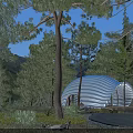 Unique Forest Guesthouse With Wavy Roof Design On Elevated Platform And Pine Tree Surroundings